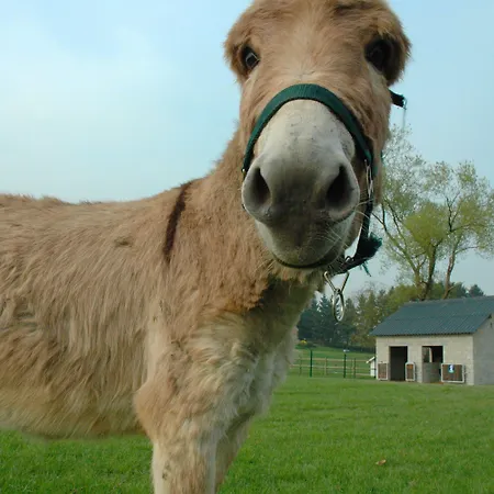 La Taniere 펜션 Noiseux